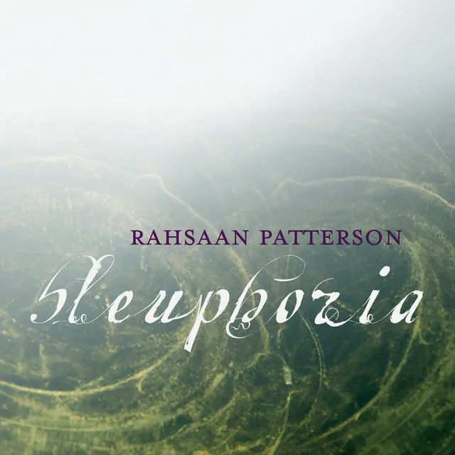 Mack Avenue Rahsaan Patterson Bleuphoria CD soul
