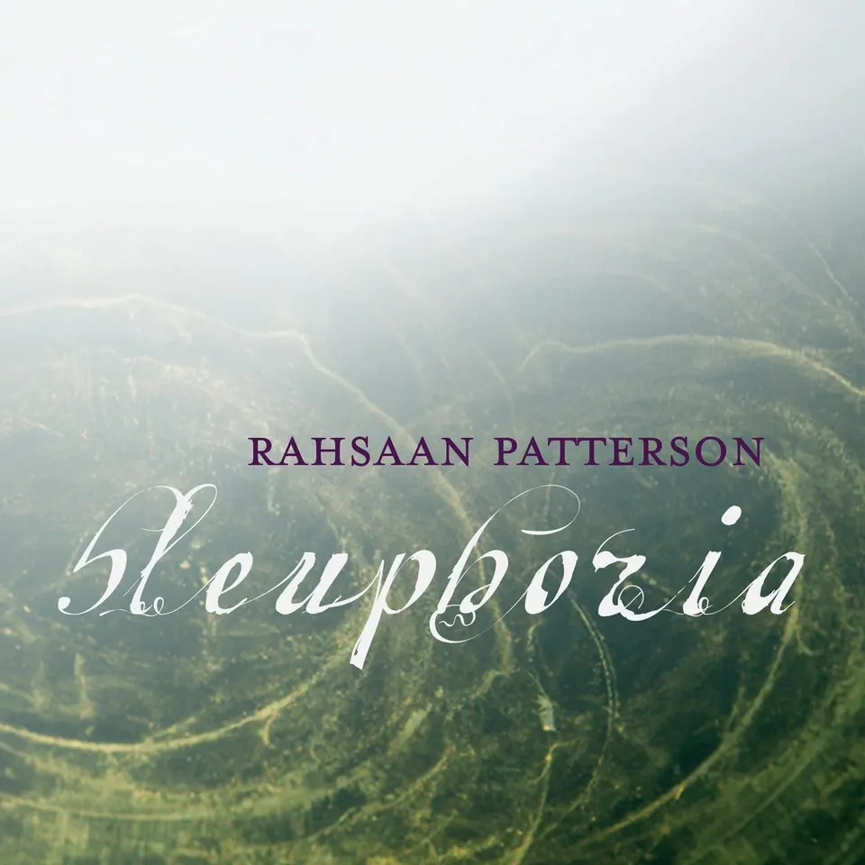Mack Avenue Rahsaan Patterson Bleuphoria CD soul