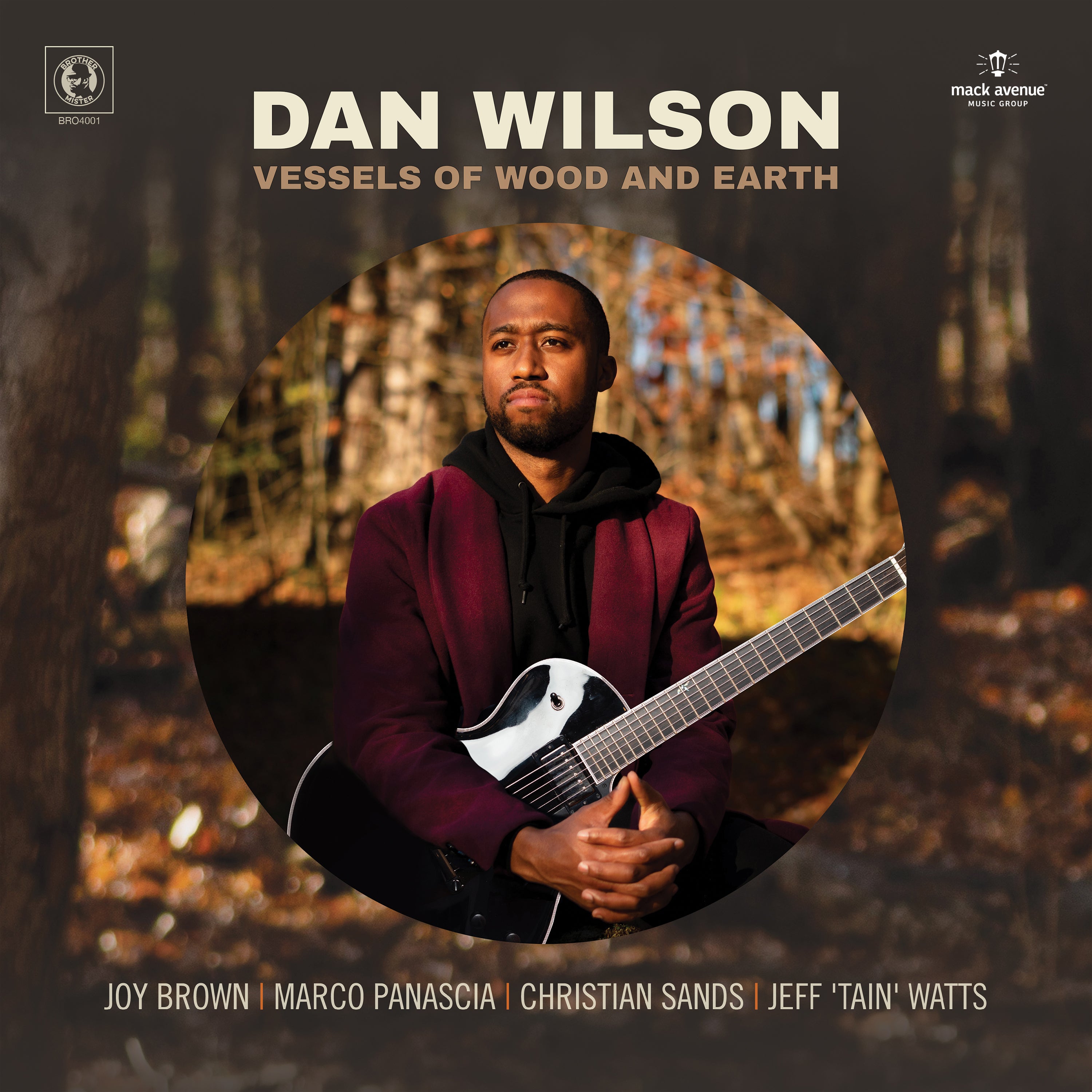 Mack Avenue Dan Wilson Vessels of Wood and Earth CD chitarra