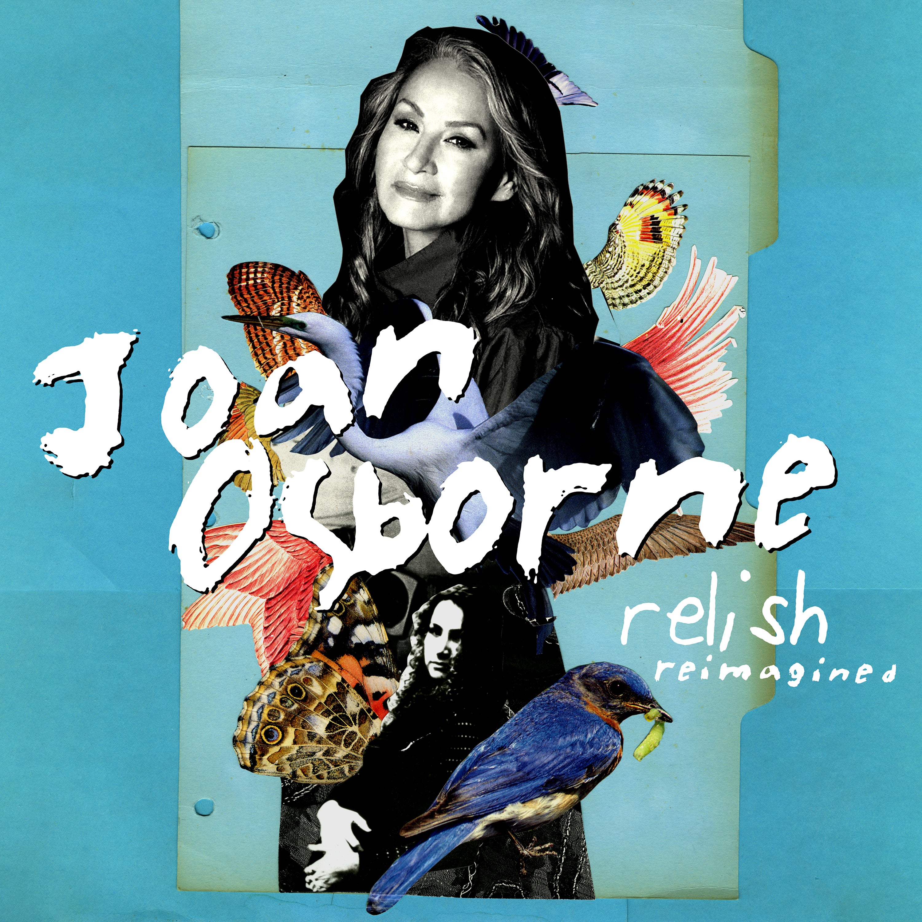 Mack Avenue Joan Osborne Relish Reimagined cd jazz