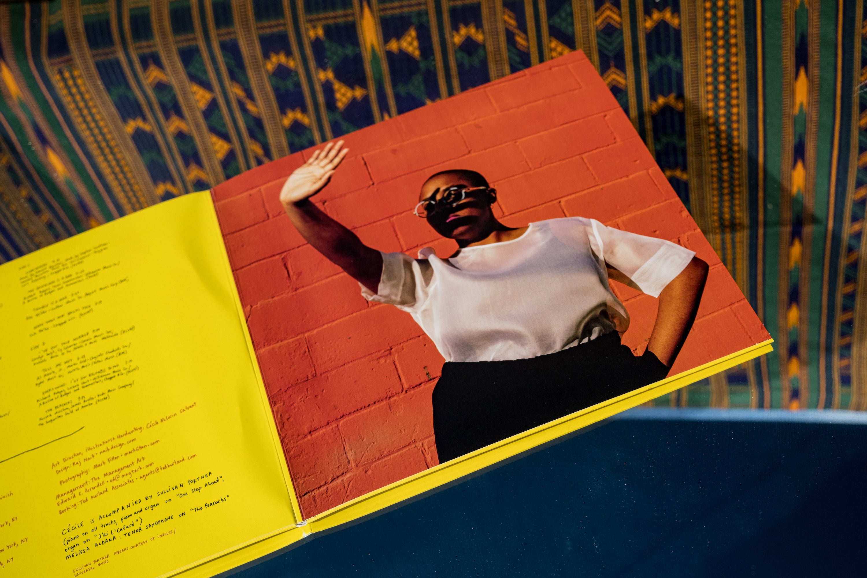 Cécile McLorin Salvant The Window CD duo