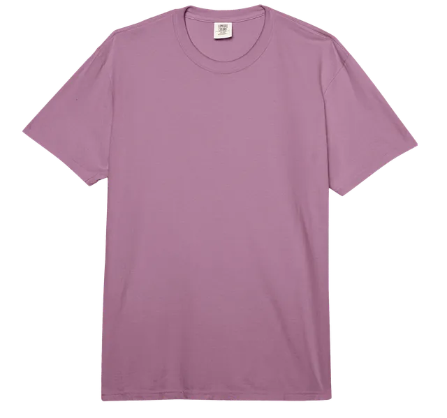 Sleep Token Vertebrae Maglietta Plum Comfort Colors pesante