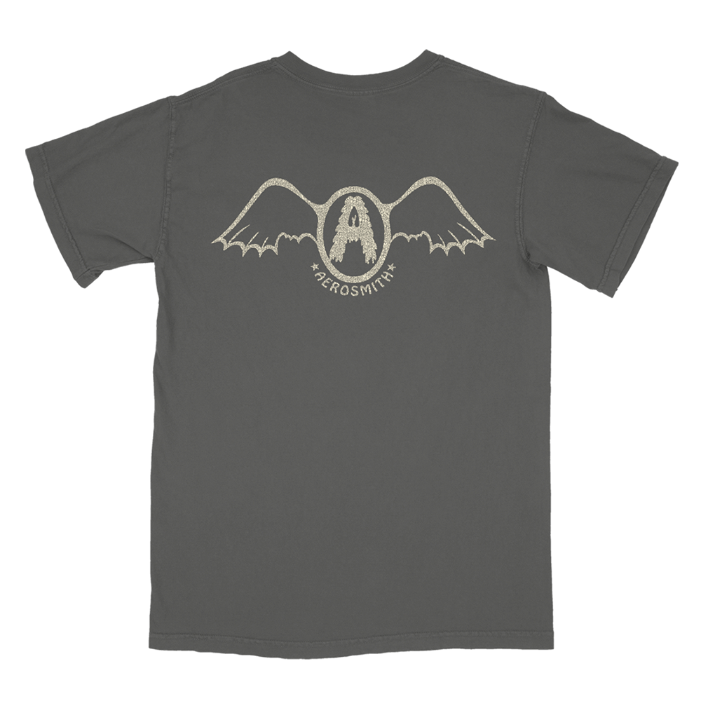 Aerosmith Seasons Of Wither maglietta taschino grigia