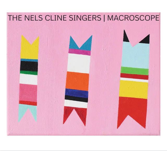 Mack Avenue Nels Cline Singers Macroscope CD chitarra
