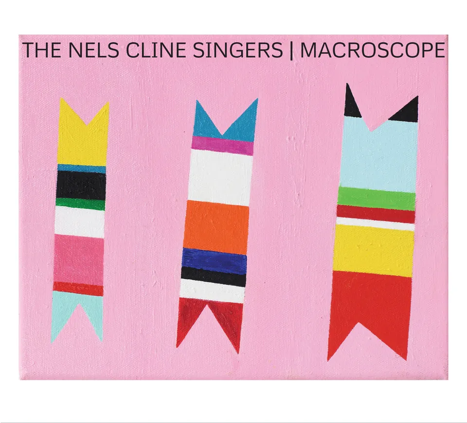 Mack Avenue Nels Cline Singers Macroscope CD chitarra