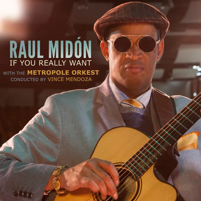 Mack Avenue Raul Midón If You Really Want CD soul