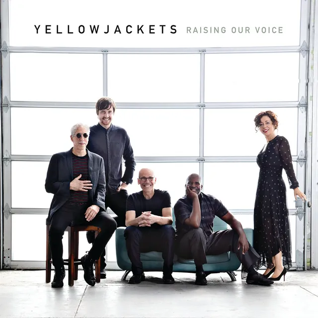 Mack Avenue Yellowjackets Raising Our Voice CD jazz