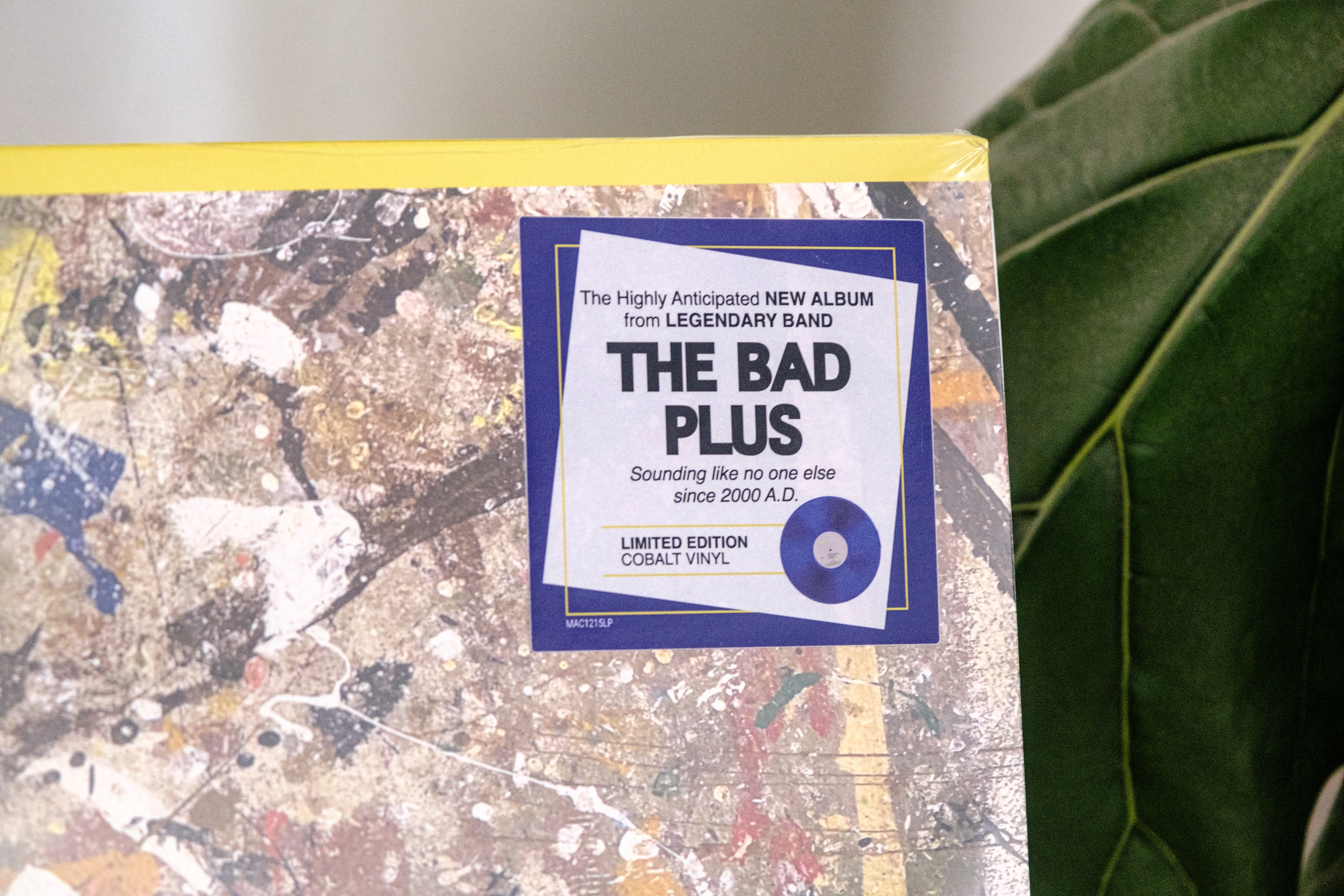 Mack Avenue The Bad Plus Complex Emotions CD quartetto