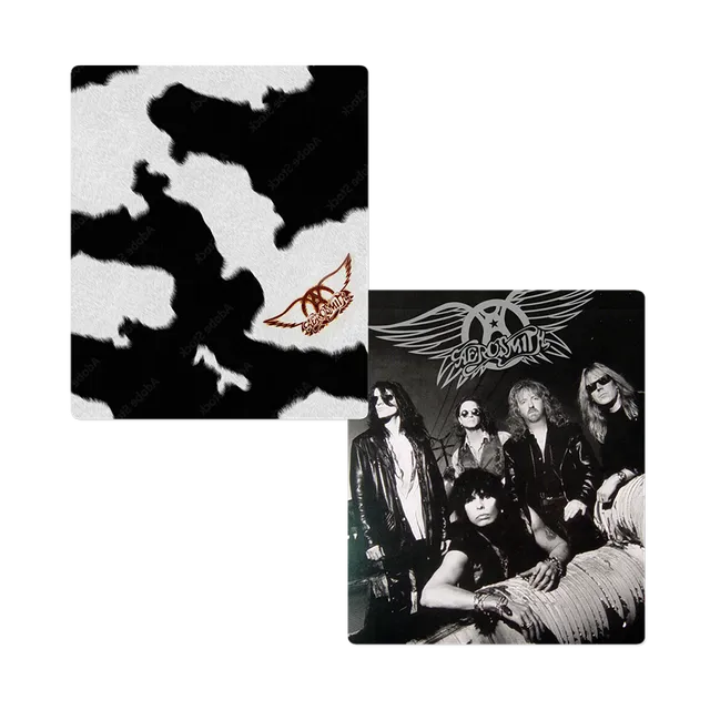 Aerosmith Get A Grip coperta plaid 50x60