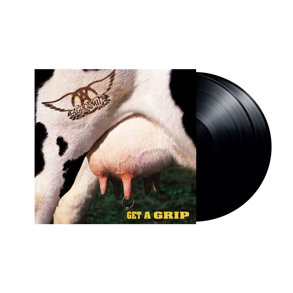 Aerosmith Get A Grip doppio vinile 2LP