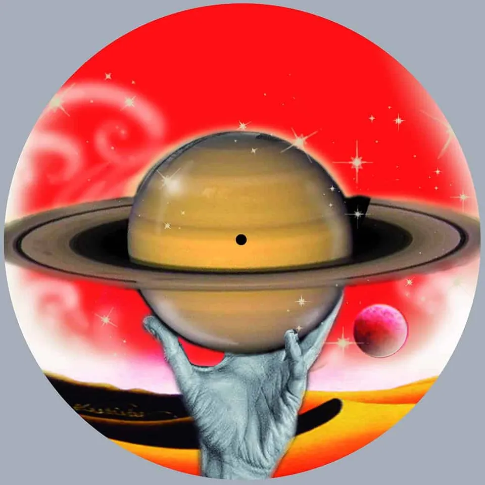 Slow Motion Francisco Disco Wizard picture disc italo disco