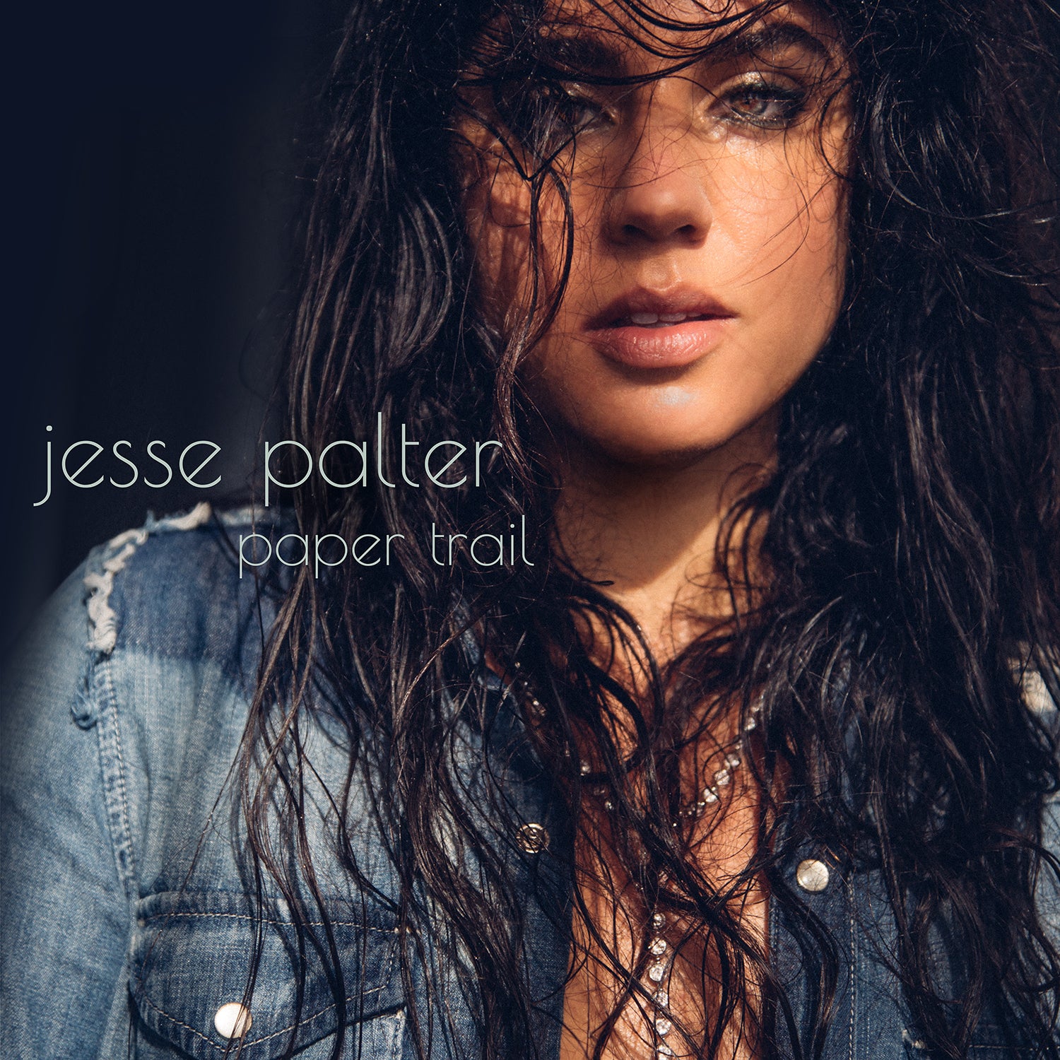 Mack Avenue Jesse Palter Paper Trail CD cantautorato
